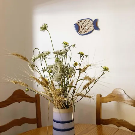 Casa De Armacao Apartment